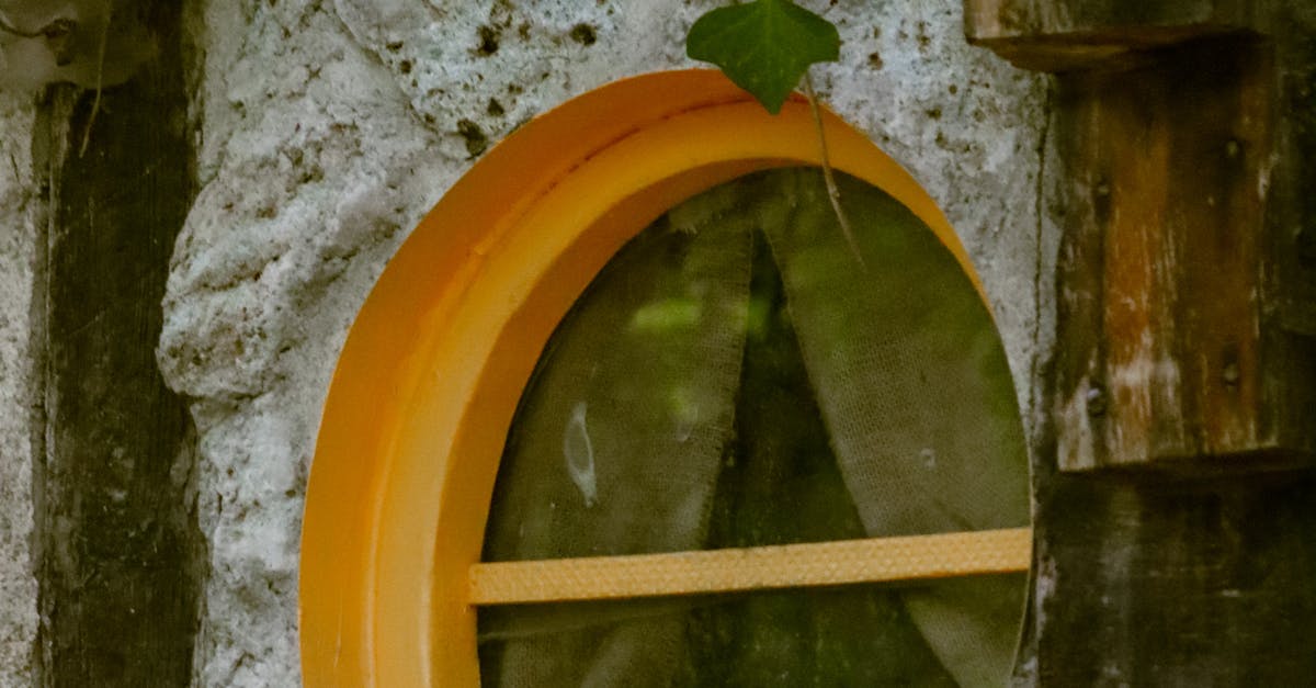 How to Create a Safe Disposal Plan for Insulation Materials