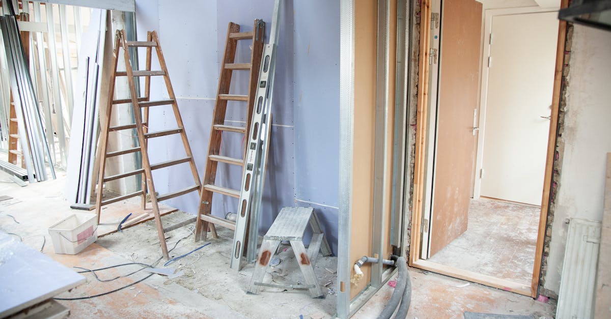 Review of Financial Assistance Options for Insulation Removal